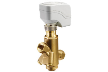 Siemens Valve
