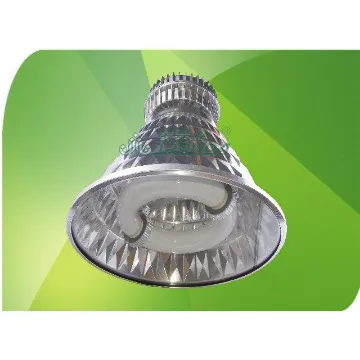 Mining Light Induction High Bay Lamp