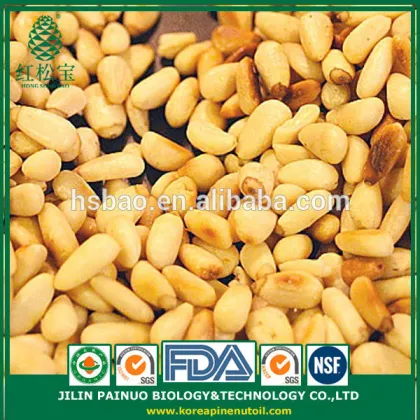 Container Home Leisure Foods Korean Pine Nut Kernels