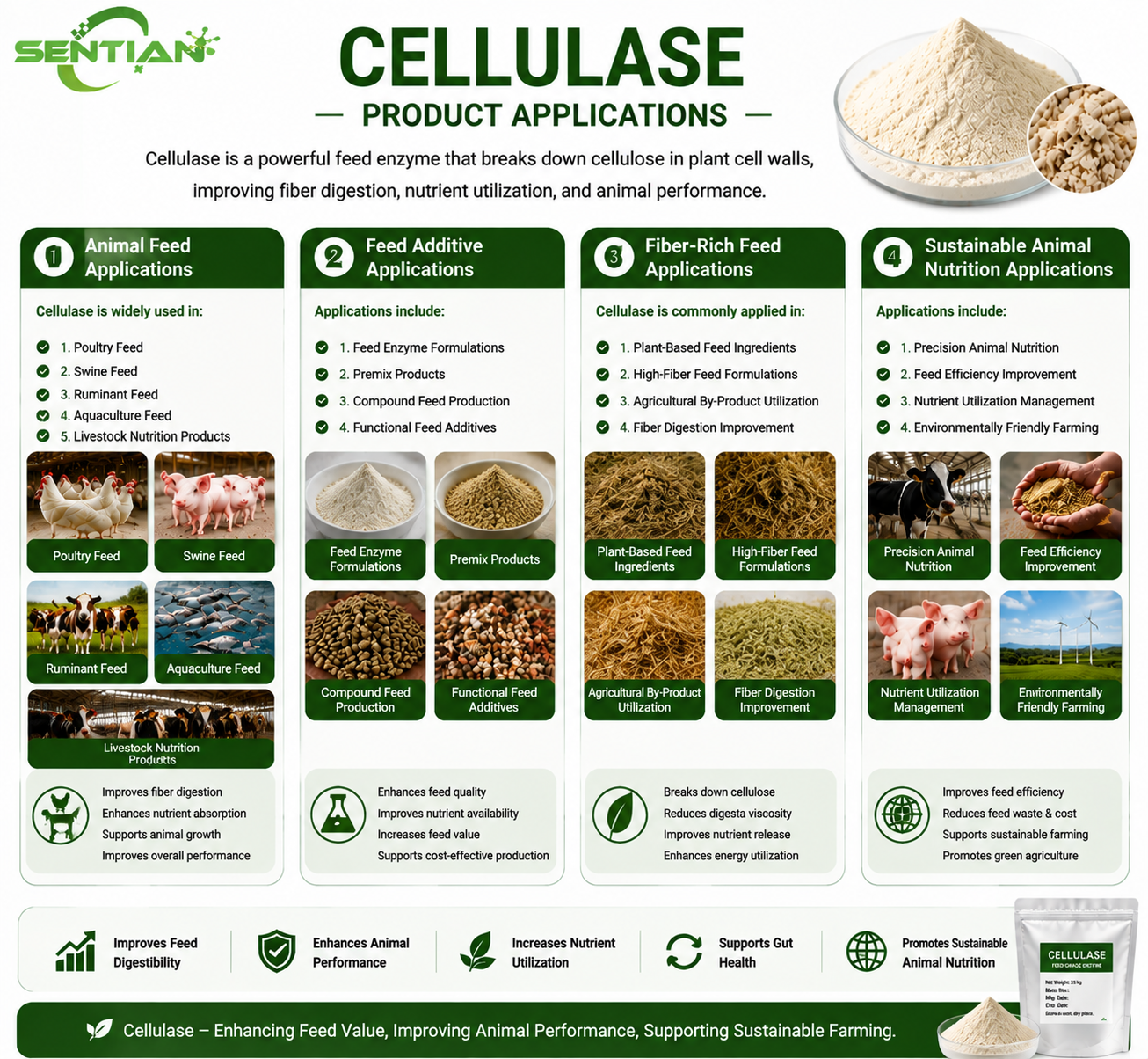 Cellulase（2）