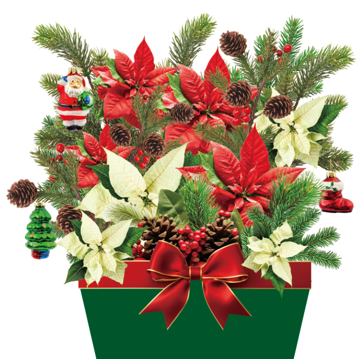 greeting-card-design-concept.1
