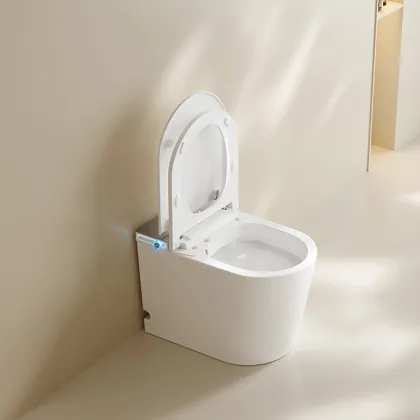 S024 Small and Compact Integrated Bathroom Toilet