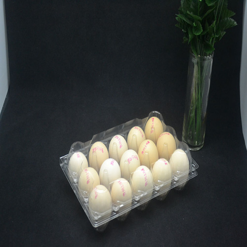 3 Rows 15 Holes Egg Tray