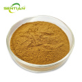High-Quality Tribulus terrestris Extract