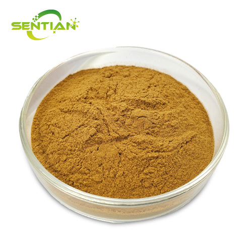 High-Quality Tribulus terrestris Extract