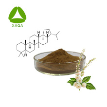 Black Cohosh Root Extract Triterpene Glycosides 8% Powder