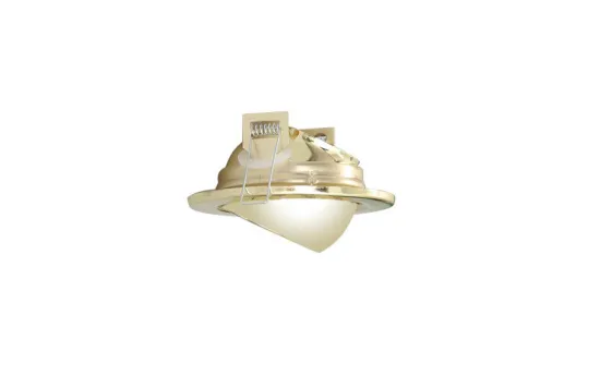 Recessed Mounted Gold Plated Halogen Spotlight For Display Lighting Fixtures