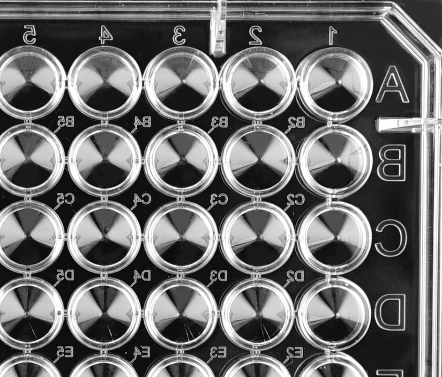 Non-treated 96 well V-bottom Cell Culture Plates