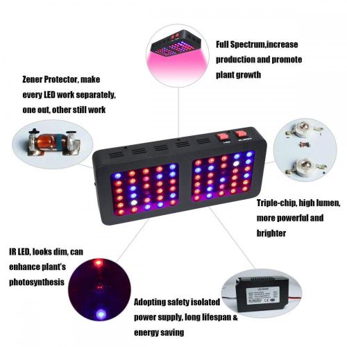 Tinggi Efektif 600W Greenhouse LED Plant Grow Light