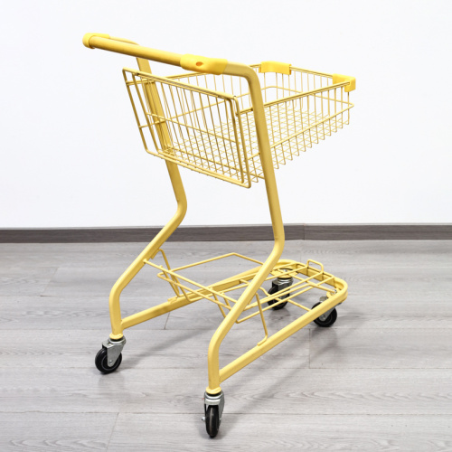 Double Layer Shopping Cart