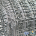 Electro Galvanized Welded Wire Mesh