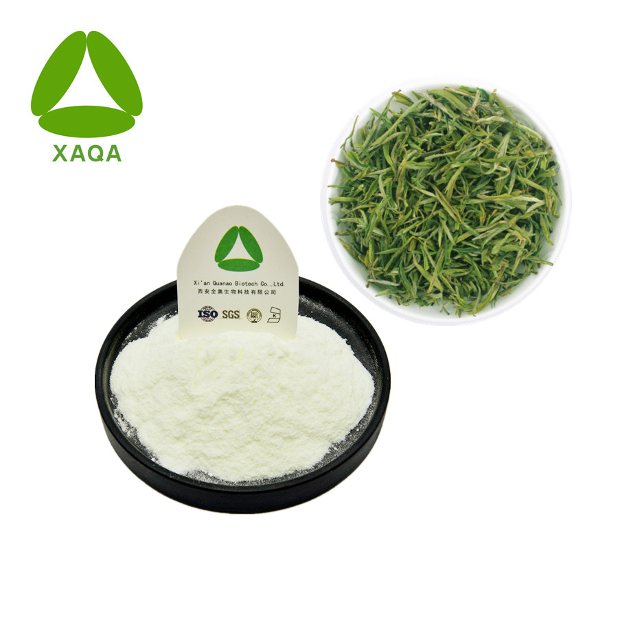 Epicatechin Pulver JPG Epicatechin Powder Jpg