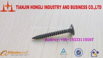Philips Drive Drywall Screw