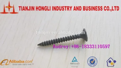 Philips Drive Drywall Screw