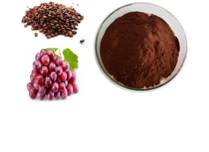 Fruit Extract Organic OPC Grape Seed Extract Powder