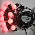 12V G45 RGB+WW 15 lights string