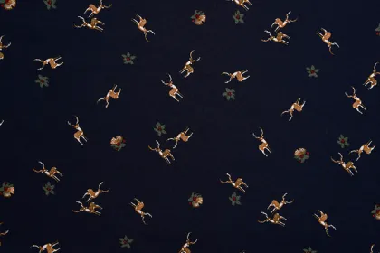 Black Background Double Deer Pattern Printed Fabrics
