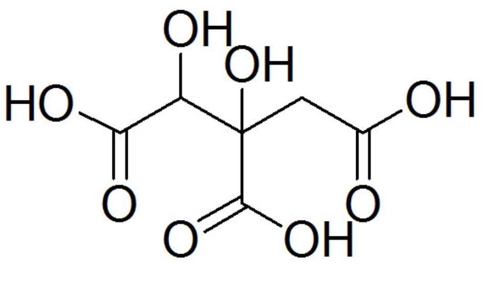 Garcinia Cambogia Extract Powder