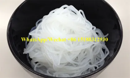 New Type Dry Rice Noodle Machine for Southeast Asia