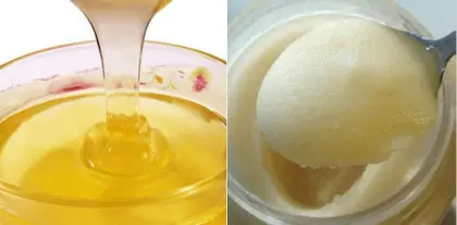 pure natural mature bee linden tree honey