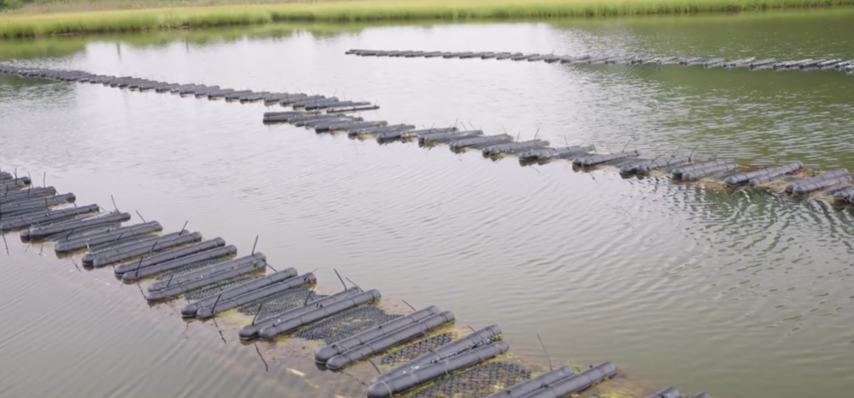 tips for new farmers