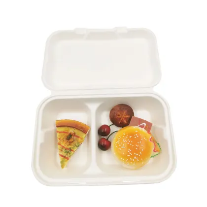 Biodegradable Pulp Disposable 9x6'' 2 cpt Food Container