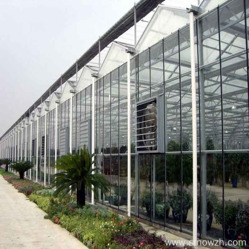 Farm steel structure greenhouse for plant