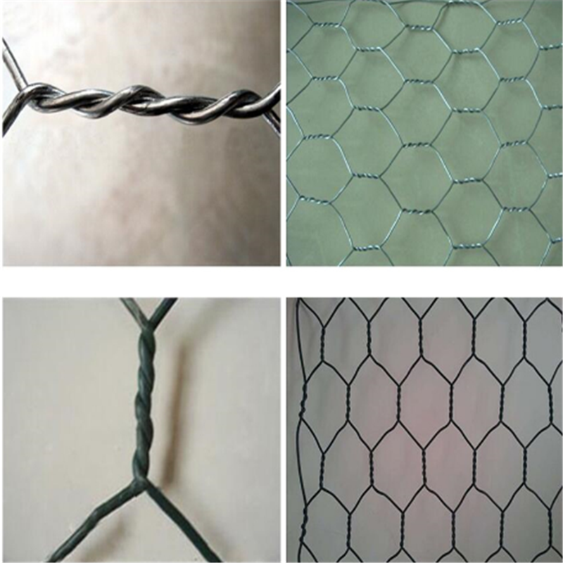 Galvanized Hexagonal Wire Mesh Netting for Chicken