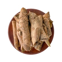Acanthopanax Bark for Alleviating Wind-Damp Conditions