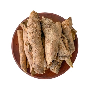 Acanthopanax Bark for Alleviating Wind-Damp Conditions