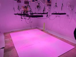 aglex led grow light installation