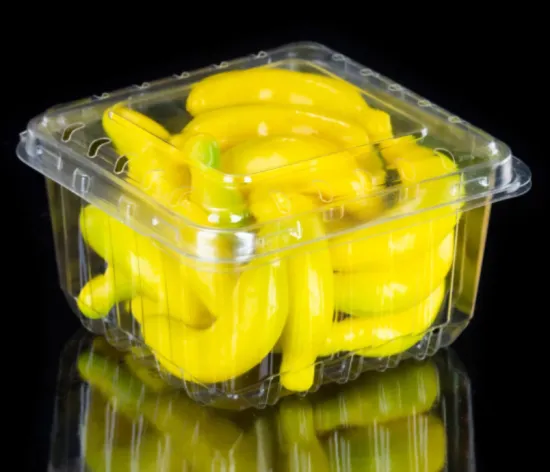 PVC/Pet Printed Plastic Blister Packaging Box