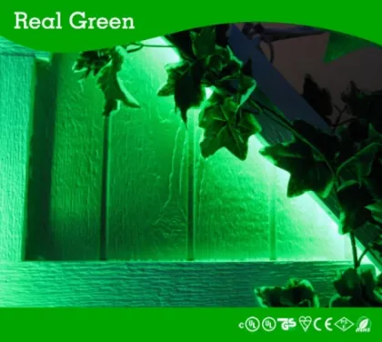 2-Wire Classic Emerald Green LED Rope Light