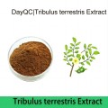 Extracto de tribulus orgánico natural de Tribulus Terrestris saponina 40%