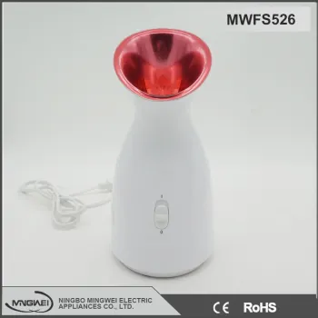 Beauty equipment Hot sale low price handy facial steamer
