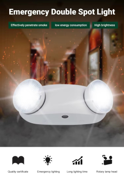 High Performance Dual Head Emergency Light System