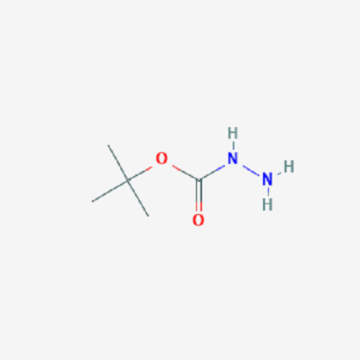 tổng hợp tert butyl cacbazat