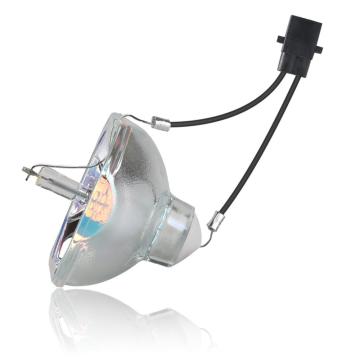 Replacement Bulb Lamp V13H010L58 ELPLP58