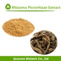 Rhizoma Picrorhizae GoldThread Rhizome Extraktpulver