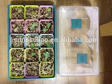 plastic seed trays/cell seed tray