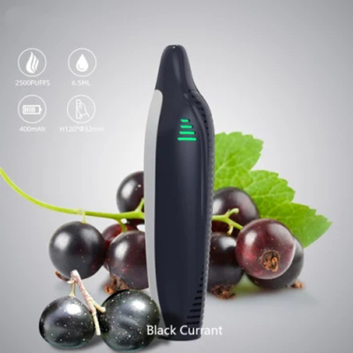 Grape Ice 6.5ML 2500Puffs Electronic Cigarette