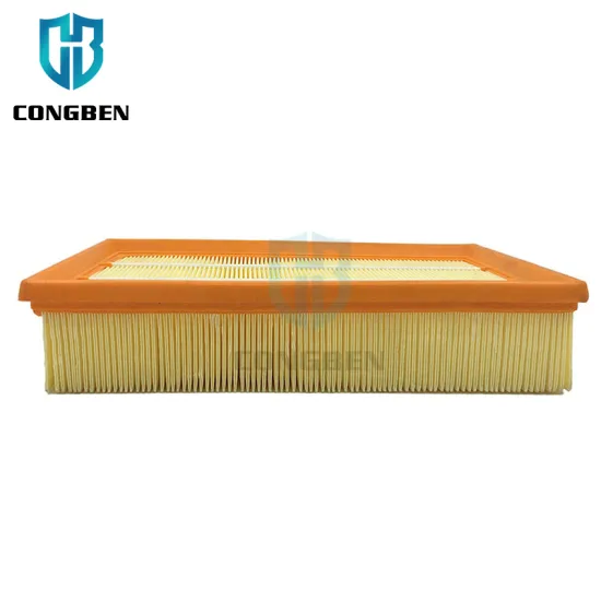 Custom Auto Air Automotive Filter 4041615 YC15-9601-BB for Ford TRANSIT 2013-2.2 TDCI