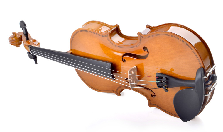 R 30 Violin Instrument