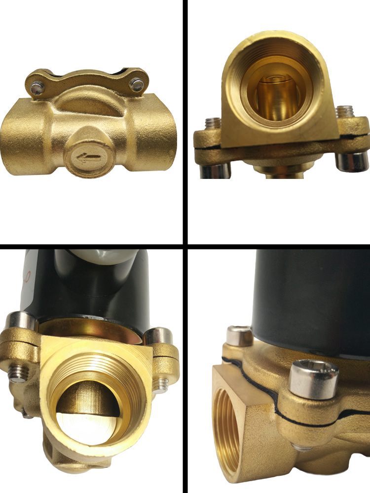 The Detail image of AC 220V Brass Body Solenoid Valve 2W200-20: