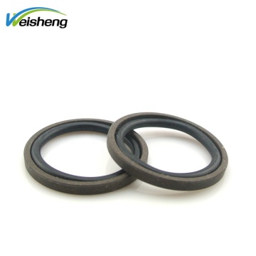 Υδραυλικός κύλινδρος PTFE PISTON SEAL: GSF PISTON SEAL &amp; GLYD RING SEAL
