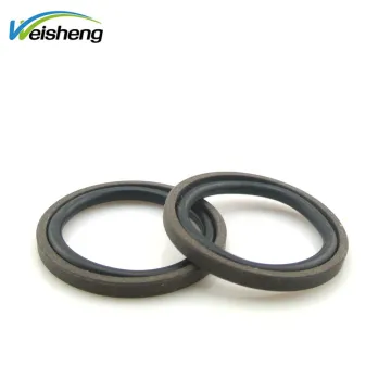 Hydraulic Cylinder PTFE Piston Seal: GSF Piston Seal & Glyd Ring Seal