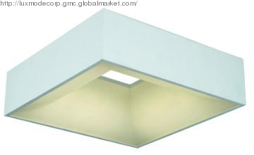 LC029  LC030 Series Ceiling Lighting Fixture