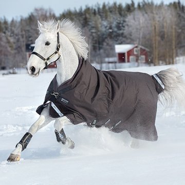 12 Wug Med Horse Decke