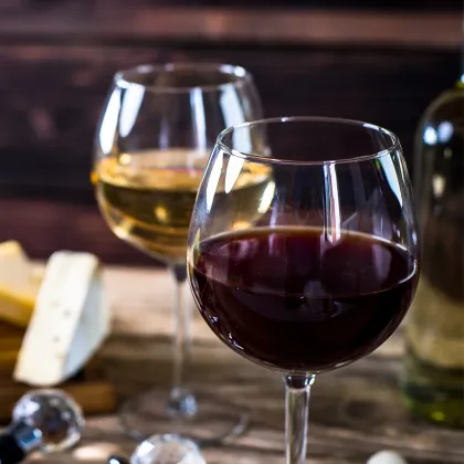 Wine Cooler for Wine with One Temperature Zone