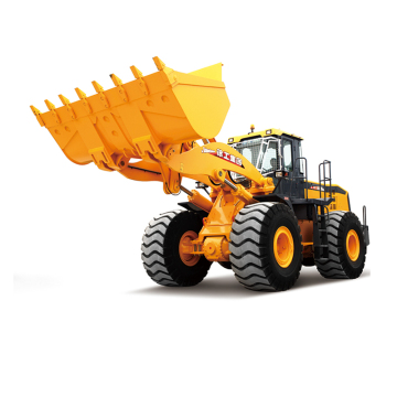 Shanghai Supply LW1000Kn 10 tonel
